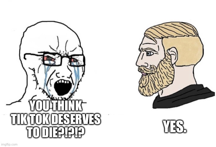 Soyboy Vs Yes Chad | YOU THINK TIK TOK DESERVES TO DIE?!?!? YES. | image tagged in soyboy vs yes chad | made w/ Imgflip meme maker
