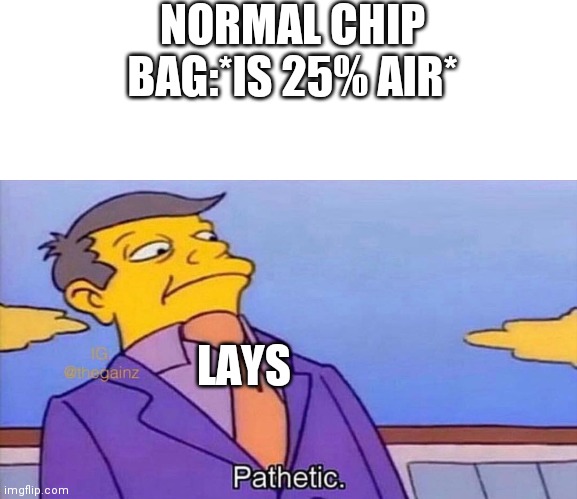 Pathetic | NORMAL CHIP BAG:*IS 25% AIR*; LAYS | image tagged in pathetic | made w/ Imgflip meme maker
