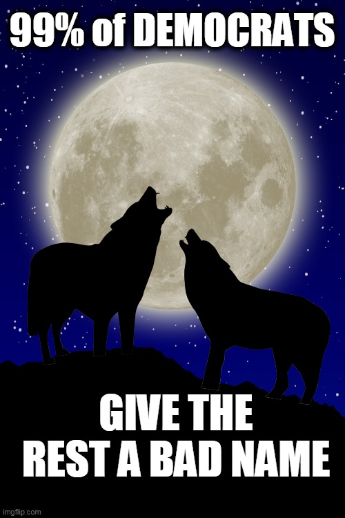 Crazy Loons Howling at the Moon | 99% of DEMOCRATS; GIVE THE REST A BAD NAME | image tagged in politics,liberalism,democratic socialism,joe biden,riots,protesters | made w/ Imgflip meme maker