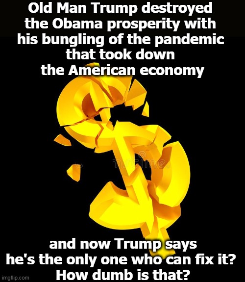 After Bush destroyed the economy in 2008-9, it was Obama that made us whole again. Then Old Man Trump claimed credit for it. | Old Man Trump destroyed 
the Obama prosperity with 
his bungling of the pandemic 
that took down 
the American economy; and now Trump says he's the only one who can fix it? 
How dumb is that? | image tagged in obama,economy,good,trump,destroy | made w/ Imgflip meme maker