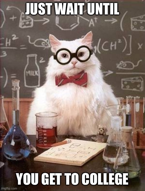 Science Cat Good Day | JUST WAIT UNTIL YOU GET TO COLLEGE | image tagged in science cat good day | made w/ Imgflip meme maker