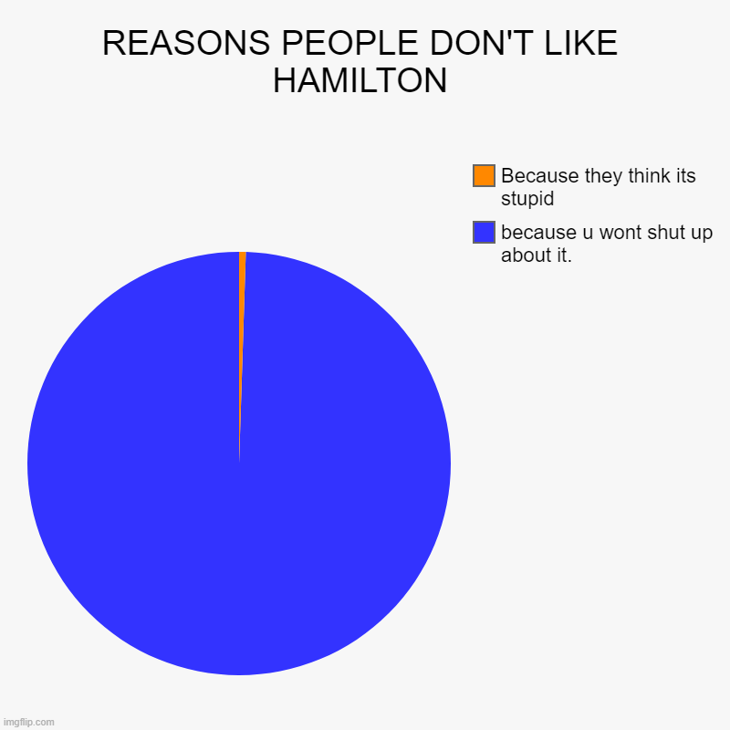 Hamilton | REASONS PEOPLE DON'T LIKE HAMILTON | because u wont shut up about it., Because they think its stupid | image tagged in charts,pie charts | made w/ Imgflip chart maker