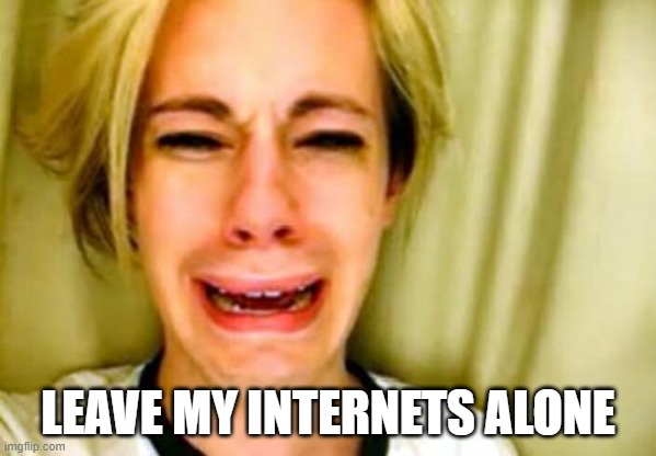 Leave my Internets alone | LEAVE MY INTERNETS ALONE | image tagged in leave britney alone | made w/ Imgflip meme maker