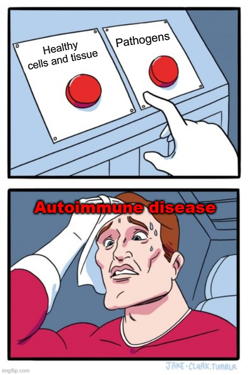 i'm sorry, i have to make a meme for AP bio | Pathogens; Healthy cells and tissue; Autoimmune disease | image tagged in memes,two buttons | made w/ Imgflip meme maker