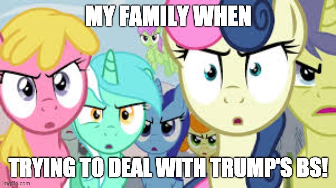 He's such a BS man, we can't deal with another 4 years of him! | MY FAMILY WHEN; TRYING TO DEAL WITH TRUMP'S BS! | image tagged in angry group of ponies,memes,trump | made w/ Imgflip meme maker
