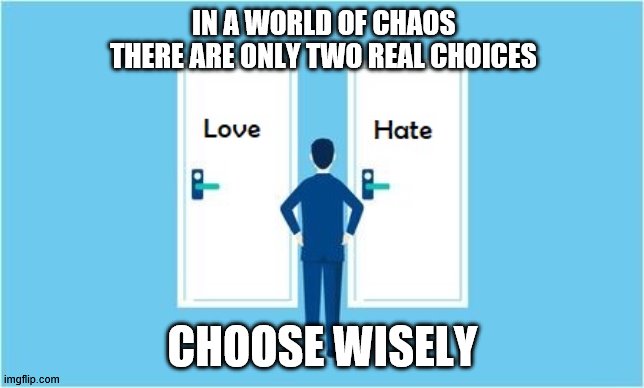Choose Wisely | IN A WORLD OF CHAOS THERE ARE ONLY TWO REAL CHOICES; CHOOSE WISELY | image tagged in choose wisely | made w/ Imgflip meme maker