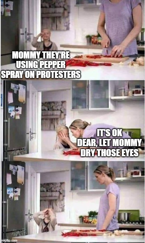 Mom of the Year | MOMMY THEY'RE USING PEPPER SPRAY ON PROTESTERS; IT'S OK DEAR, LET MOMMY DRY THOSE EYES | image tagged in mom of the year | made w/ Imgflip meme maker