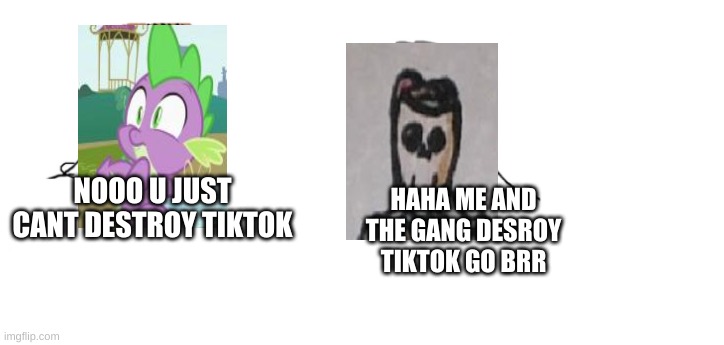 imma post this on tiktokrules to anger spike | HAHA ME AND THE GANG DESROY TIKTOK GO BRR; NOOO U JUST CANT DESTROY TIKTOK | image tagged in nooo haha go brrr | made w/ Imgflip meme maker