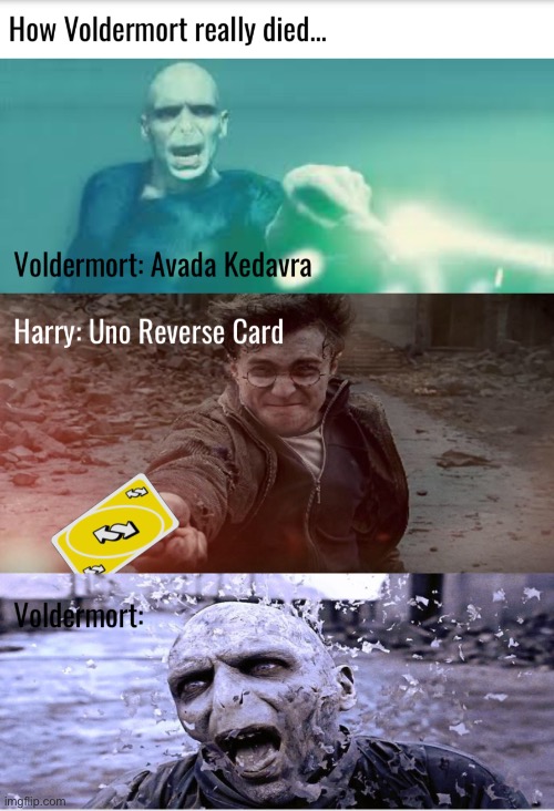 Voldemort, Harry Potter Memes