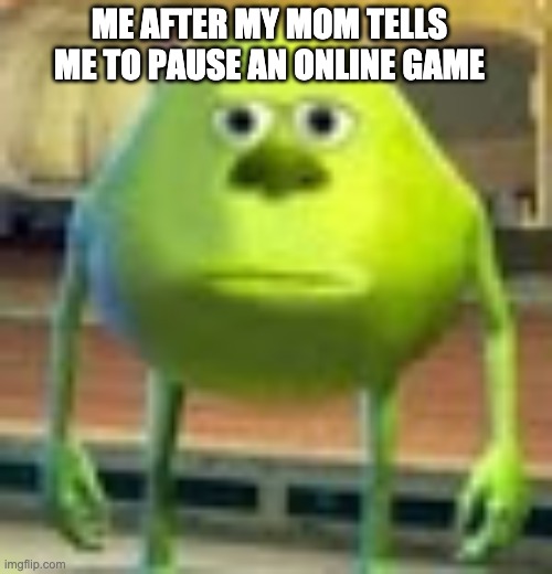 Bruh sock | ME AFTER MY MOM TELLS ME TO PAUSE AN ONLINE GAME | image tagged in sully wazowski,funny memes,video games,memes,mom | made w/ Imgflip meme maker