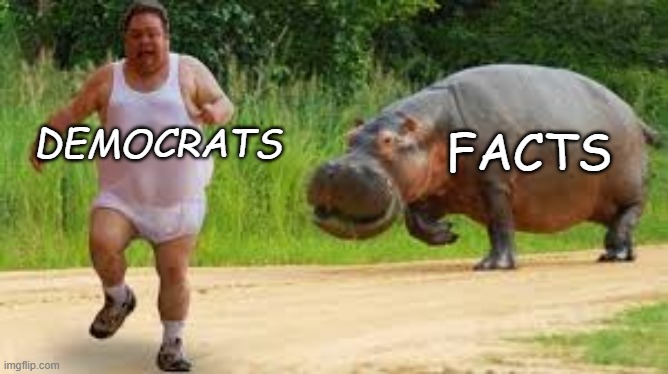 FACTS; DEMOCRATS | image tagged in funny | made w/ Imgflip meme maker