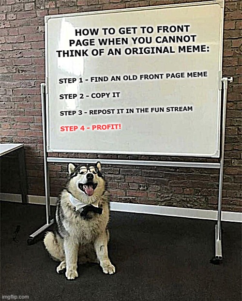 Since Reposting Seems To Be the "In" Thing, Here's a Lesson on How To Do a Front Page Repost | HOW TO GET TO FRONT PAGE WHEN YOU CANNOT THINK OF AN ORIGINAL MEME:; STEP 1 - FIND AN OLD FRONT PAGE MEME; STEP 2 - COPY IT; STEP 3 - REPOST IT IN THE FUN STREAM; STEP 4 - PROFIT! | image tagged in how to be a good boy,front page,repost,memes,plagiarism,shameless | made w/ Imgflip meme maker