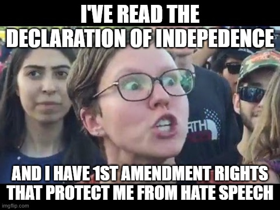 Angry sjw | I'VE READ THE DECLARATION OF INDEPEDENCE; AND I HAVE 1ST AMENDMENT RIGHTS THAT PROTECT ME FROM HATE SPEECH | image tagged in angry sjw | made w/ Imgflip meme maker