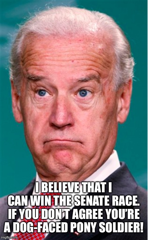 Joe Biden | I BELIEVE THAT I CAN WIN THE SENATE RACE. IF YOU DON’T AGREE YOU’RE A DOG-FACED PONY SOLDIER! | image tagged in joe biden | made w/ Imgflip meme maker