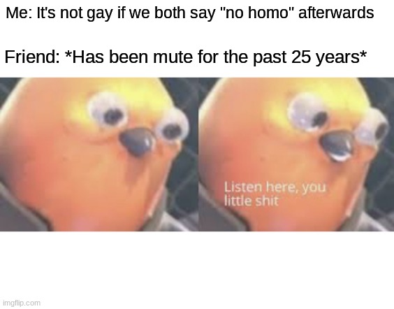 Listen here you little shit bird | Me: It's not gay if we both say "no homo" afterwards; Friend: *Has been mute for the past 25 years* | image tagged in listen here you little shit bird | made w/ Imgflip meme maker