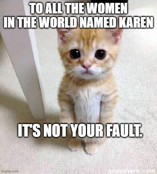 Karen Kitten | TO ALL THE WOMEN IN THE WORLD NAMED KAREN; IT'S NOT YOUR FAULT. | image tagged in memes,cute cat,karen,forgive | made w/ Imgflip meme maker