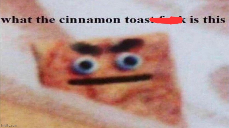 what the cinnamon toast... | image tagged in what the cinnamon toast | made w/ Imgflip meme maker