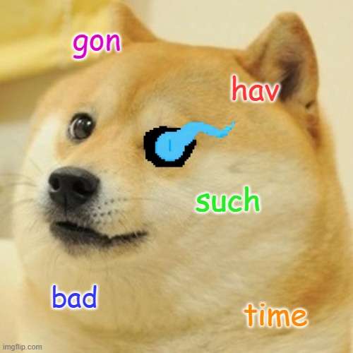 bad time doge | gon; hav; such; bad; time | image tagged in memes,doge | made w/ Imgflip meme maker