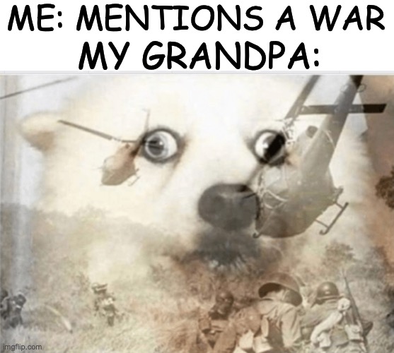 PTSD dog | ME: MENTIONS A WAR; MY GRANDPA: | image tagged in memes,ptsd dog | made w/ Imgflip meme maker