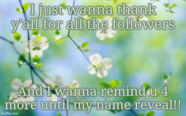 flowers | I just wanna thank y'all for all the followers; And I wanna remind u 4 more until my name reveal!! | image tagged in flowers | made w/ Imgflip meme maker