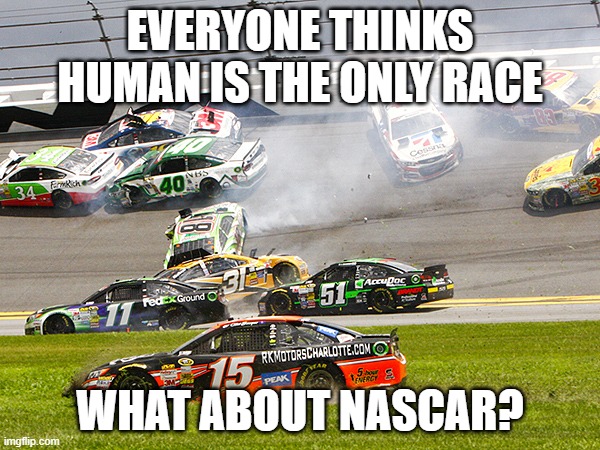Nascar Race | EVERYONE THINKS HUMAN IS THE ONLY RACE; WHAT ABOUT NASCAR? | image tagged in cruz nascar | made w/ Imgflip meme maker