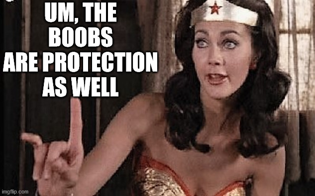 wonder woman oh no he di int | UM, THE BOOBS ARE PROTECTION AS WELL | image tagged in wonder woman oh no he di int | made w/ Imgflip meme maker