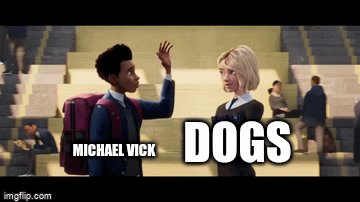 Michael Vick - Imgflip