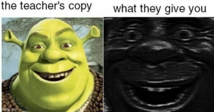 teachers copy | image tagged in shrek | made w/ Imgflip meme maker