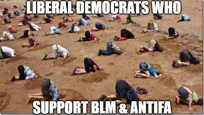 BOHICA: LIBERAL DEMOCRATS WHO SUPPORT BLM & ANTIFA | LIBERAL DEMOCRATS WHO; SUPPORT BLM & ANTIFA | image tagged in liberals,democrat,blm,antifa,politics lol | made w/ Imgflip meme maker