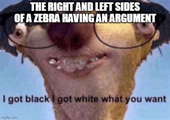 yes it is VERY random | THE RIGHT AND LEFT SIDES OF A ZEBRA HAVING AN ARGUMENT | image tagged in i got black i got white what ya want,memes,gifs,funny,zebra,sid the sloth | made w/ Imgflip meme maker