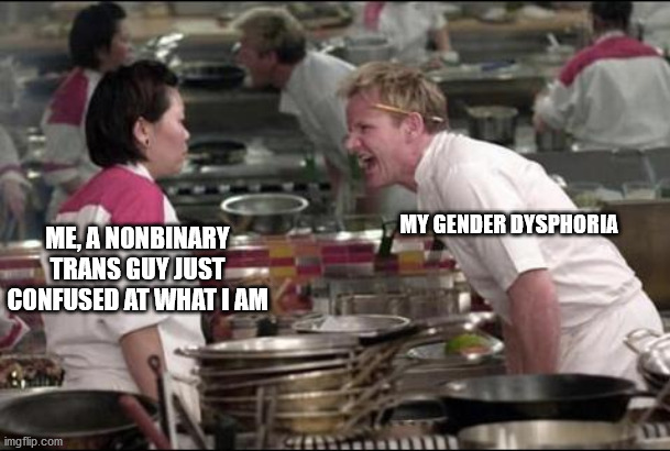 My Dysphoria | MY GENDER DYSPHORIA; ME, A NONBINARY TRANS GUY JUST CONFUSED AT WHAT I AM | image tagged in memes,angry chef gordon ramsay,transgender,trans,nonbinary | made w/ Imgflip meme maker