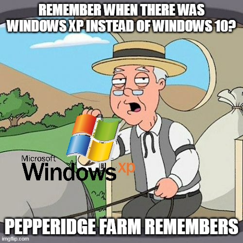 pepperidge farm remembers windows xp | REMEMBER WHEN THERE WAS WINDOWS XP INSTEAD OF WINDOWS 10? PEPPERIDGE FARM REMEMBERS | image tagged in memes,pepperidge farm remembers,windows xp,nostalgia,funny | made w/ Imgflip meme maker