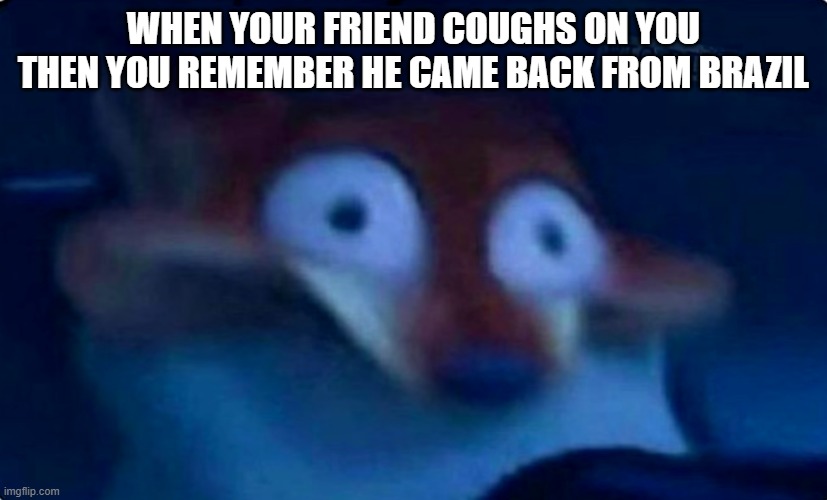 PLEASE NO | WHEN YOUR FRIEND COUGHS ON YOU THEN YOU REMEMBER HE CAME BACK FROM BRAZIL | image tagged in memes,nick wilde | made w/ Imgflip meme maker