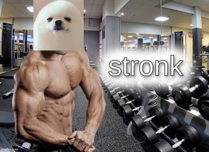 Meme man stronk | image tagged in meme man stronk | made w/ Imgflip meme maker