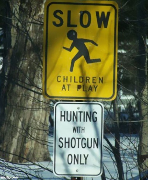 hunting with shotgun only | image tagged in funny,dark humor,dark,kids,guns | made w/ Imgflip meme maker