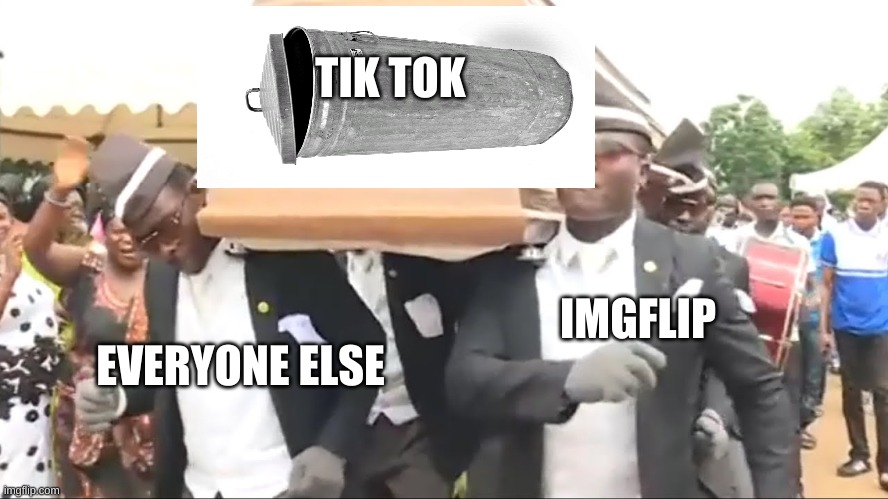 Coffin Dance | TIK TOK EVERYONE ELSE IMGFLIP | image tagged in coffin dance | made w/ Imgflip meme maker