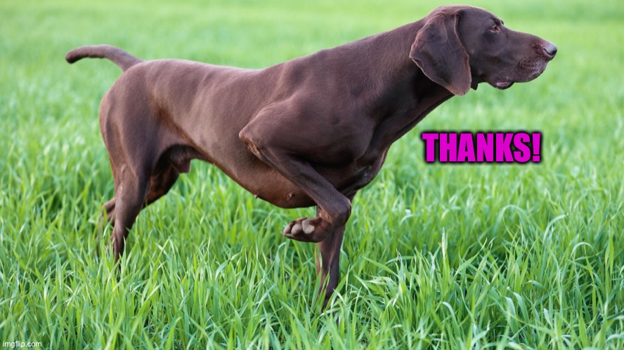 THANKS! | made w/ Imgflip meme maker