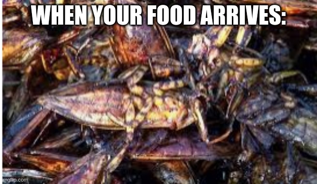 WHEN YOUR FOOD ARRIVES: | made w/ Imgflip meme maker