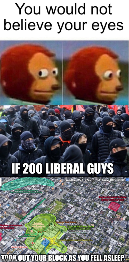Extra points if you sing along | IF 200 LIBERAL GUYS; TOOK OUT YOUR BLOCK AS YOU FELL ASLEEP | image tagged in antifa,capitol hill autonomous zone map,funny,liberals,songs | made w/ Imgflip meme maker