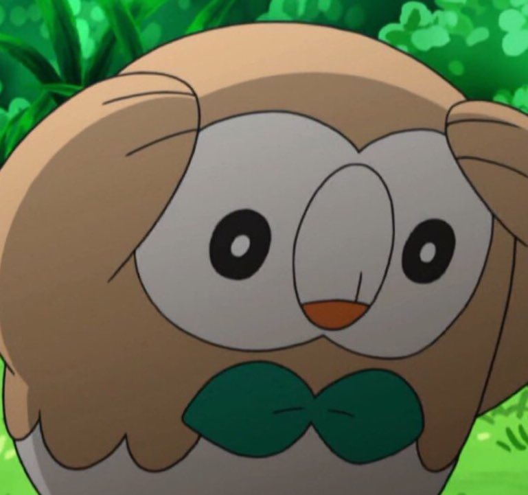 High Quality Stressed Rowlet Blank Meme Template