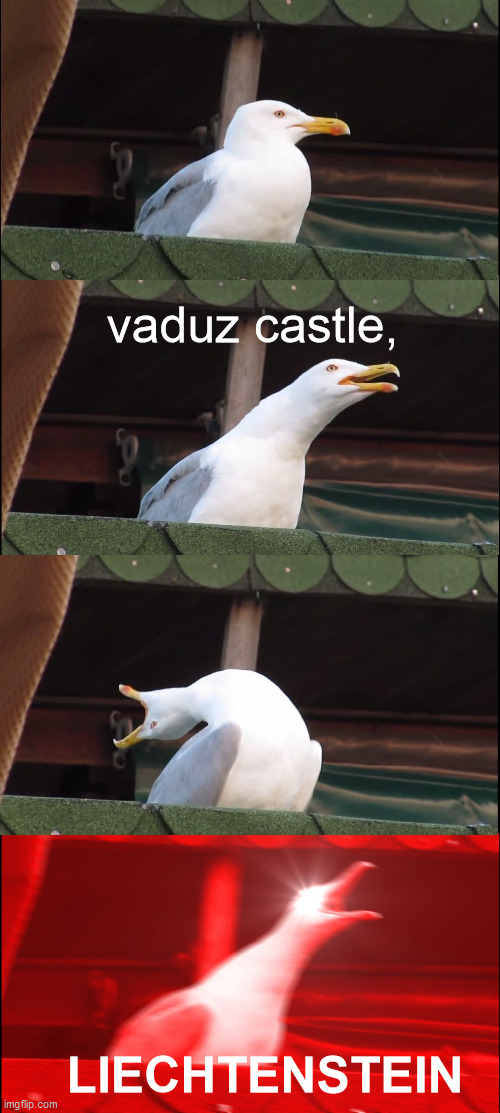 Inhaling Seagull | vaduz castle, LIECHTENSTEIN | image tagged in vaduz castle liechtenstein | made w/ Imgflip meme maker