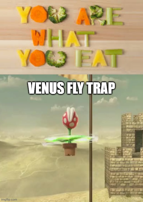 VENUS FLY TRAP | image tagged in you are what you eat | made w/ Imgflip meme maker