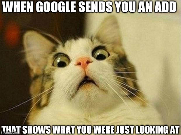 Scared Cat Meme | WHEN GOOGLE SENDS YOU AN ADD; THAT SHOWS WHAT YOU WERE JUST LOOKING AT | image tagged in memes,scared cat | made w/ Imgflip meme maker