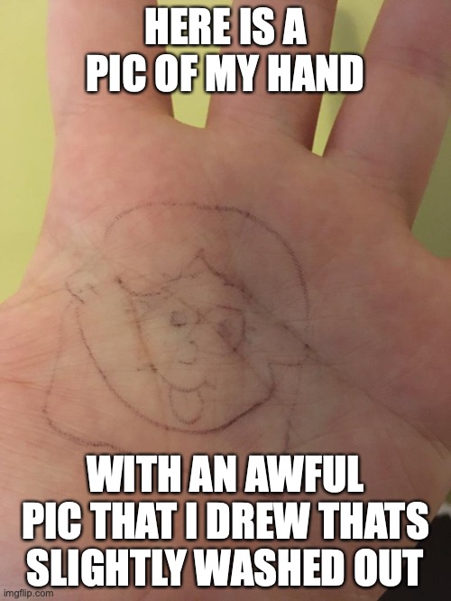 I was doing my test and decided to draw... on my hand... | HERE IS A PIC OF MY HAND; WITH AN AWFUL PIC THAT I DREW THATS SLIGHTLY WASHED OUT | image tagged in hand reveal,drawing,bad drawing,its bad dont say otherwise,probably the only reveal im gonna give,enjoy it my hand is gorgeous | made w/ Imgflip meme maker