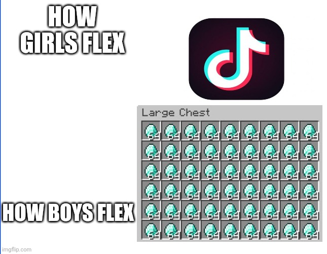 Sometimes the truth is right there | HOW GIRLS FLEX; HOW BOYS FLEX | image tagged in minecraft,lol so funny | made w/ Imgflip meme maker