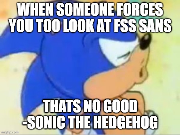 FSS SANS | WHEN SOMEONE FORCES YOU TOO LOOK AT FSS SANS; THATS NO GOOD
-SONIC THE HEDGEHOG | image tagged in sonic that's no good | made w/ Imgflip meme maker