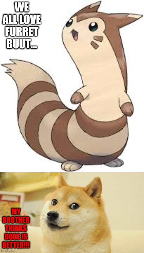 furret | WE ALL LOVE FURRET BUUT... MY BROTHER THINKS DOGE IS BETTER!!! | image tagged in furret,is cute | made w/ Imgflip meme maker