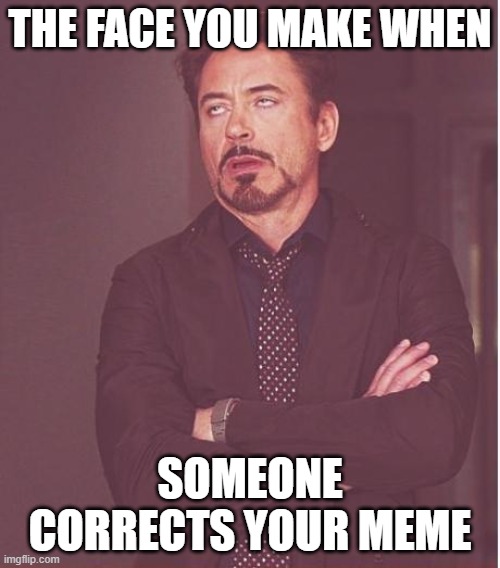 Face You Make Robert Downey Jr | THE FACE YOU MAKE WHEN; SOMEONE CORRECTS YOUR MEME | image tagged in memes,face you make robert downey jr | made w/ Imgflip meme maker