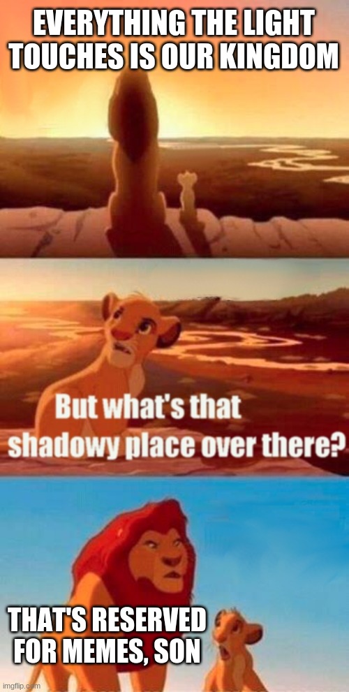 The fourth wall has officially been broken, folks | EVERYTHING THE LIGHT TOUCHES IS OUR KINGDOM; THAT'S RESERVED FOR MEMES, SON | image tagged in memes,simba shadowy place,breaking the fourth wall,fourth wall,ironic | made w/ Imgflip meme maker