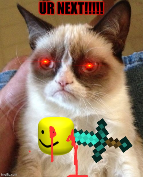 Grumpy Cat Meme | UR NEXT!!!!! | image tagged in memes,grumpy cat | made w/ Imgflip meme maker